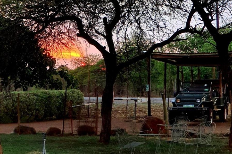 KaMsholo Bushveld Safaris