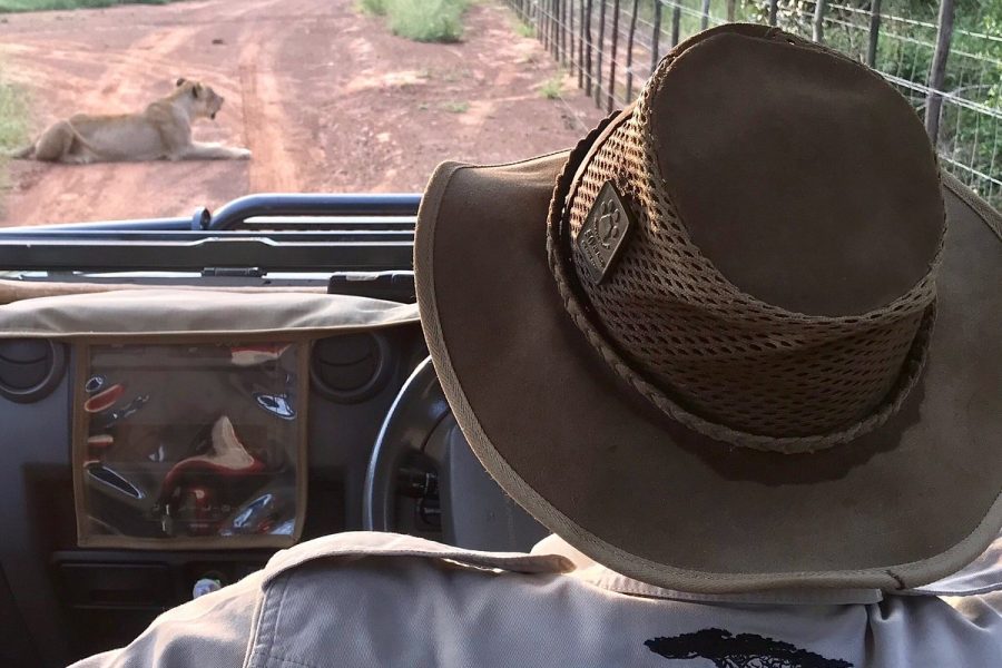 Hlane Royal National Park – Game Drive