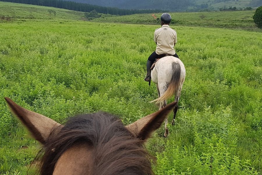 Mlilwane Wildlife Sanctuary – horse trails